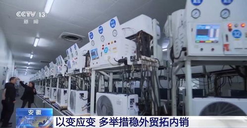 安徽多舉措穩外貿拓內銷，外貿產品展銷專區受青睞